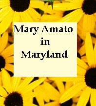 mary-Amato-in-MD
